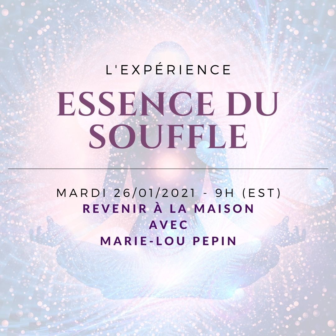 Revenir à la maison 
