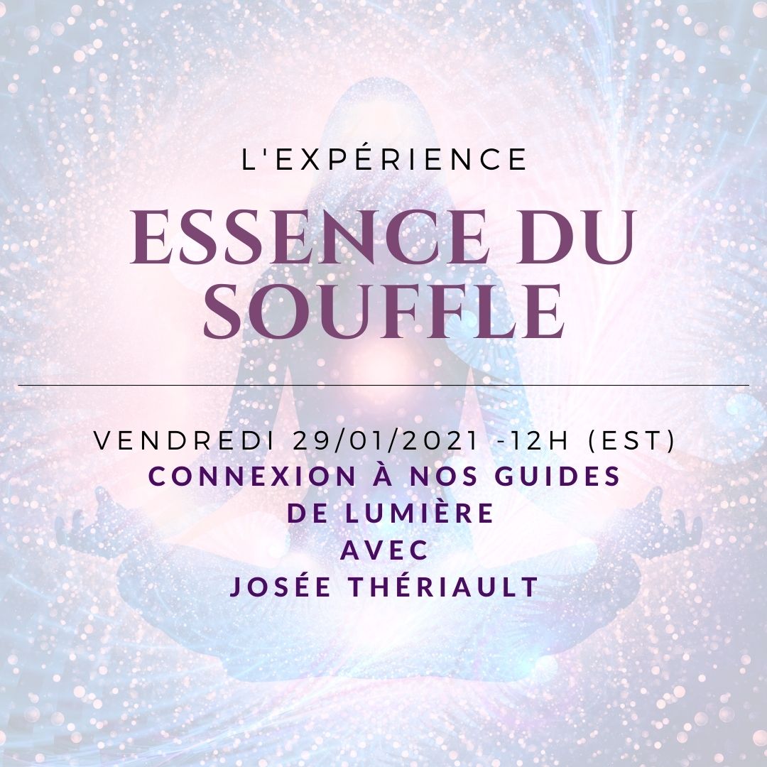 Connexion à nos guides de lumière 