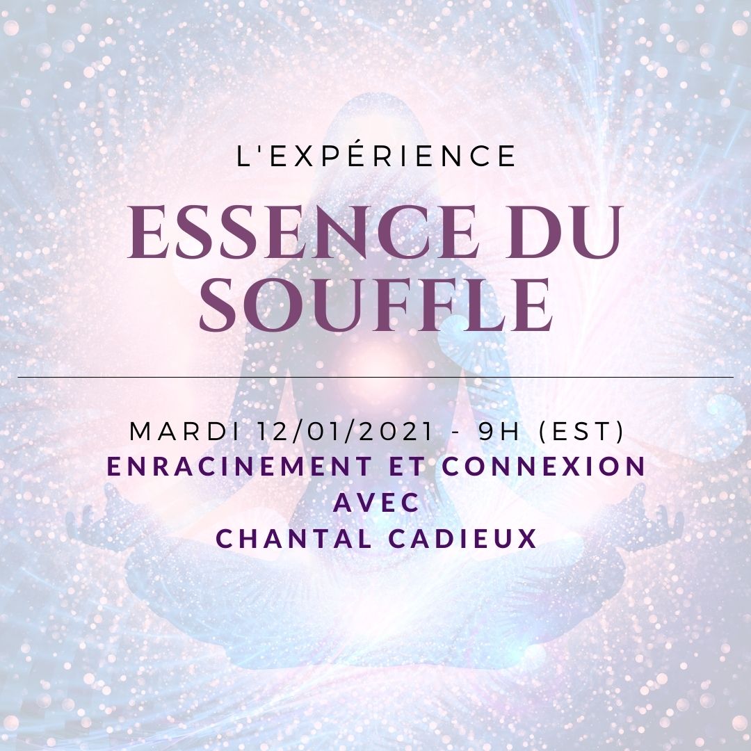 Enracinement et connexion