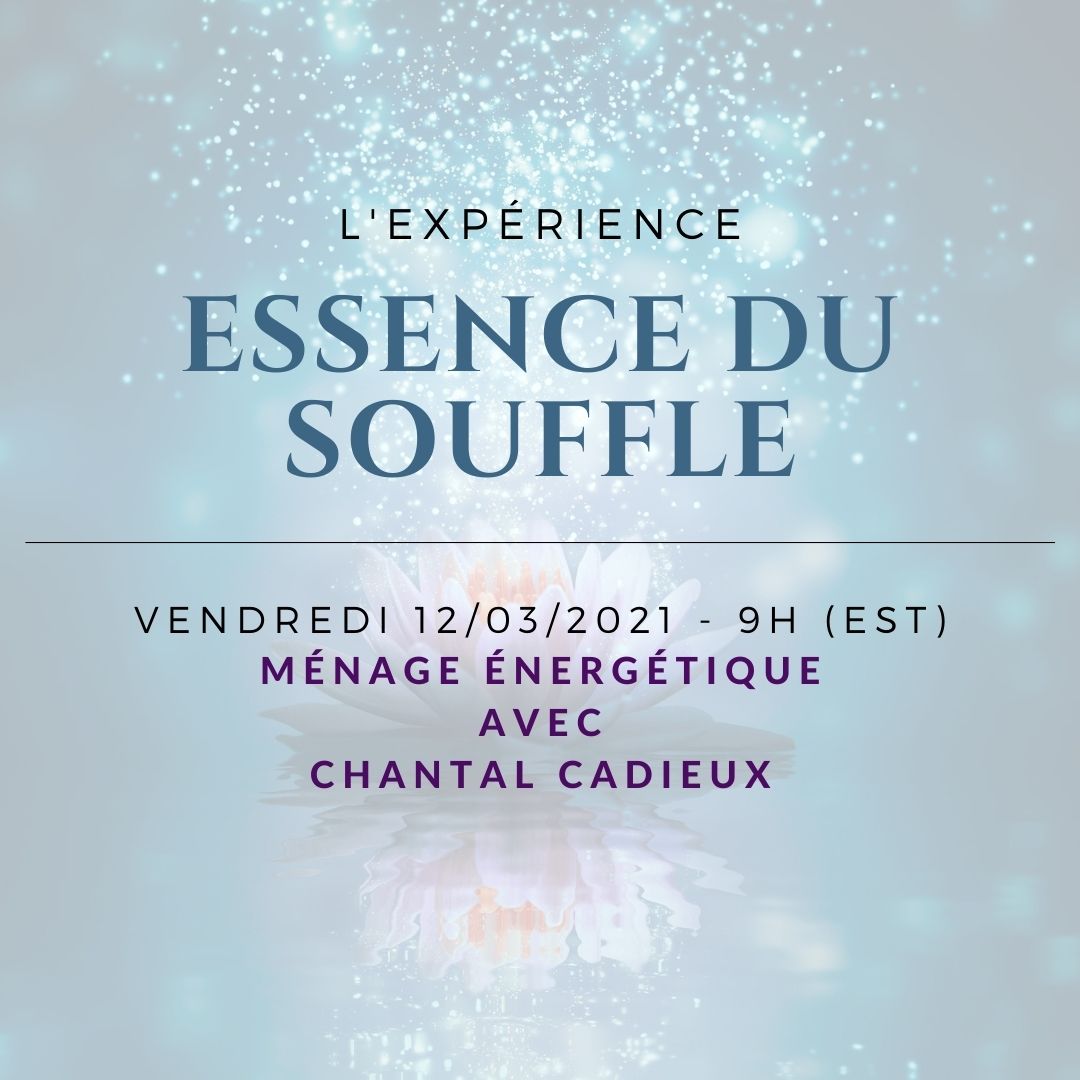 Ménage énergétique