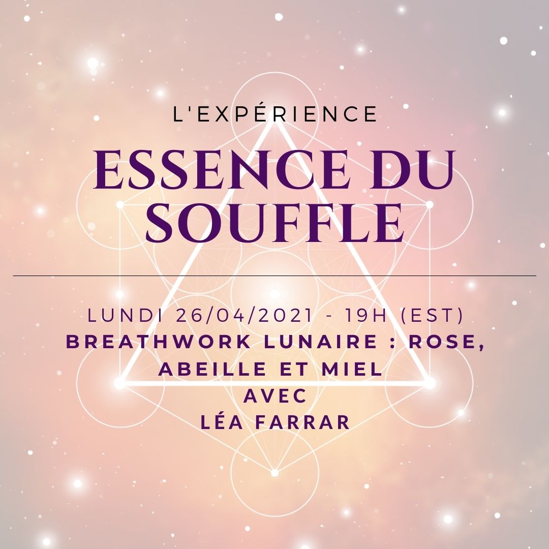 Breathwork Lunaire : Rose, Abeille et Miel