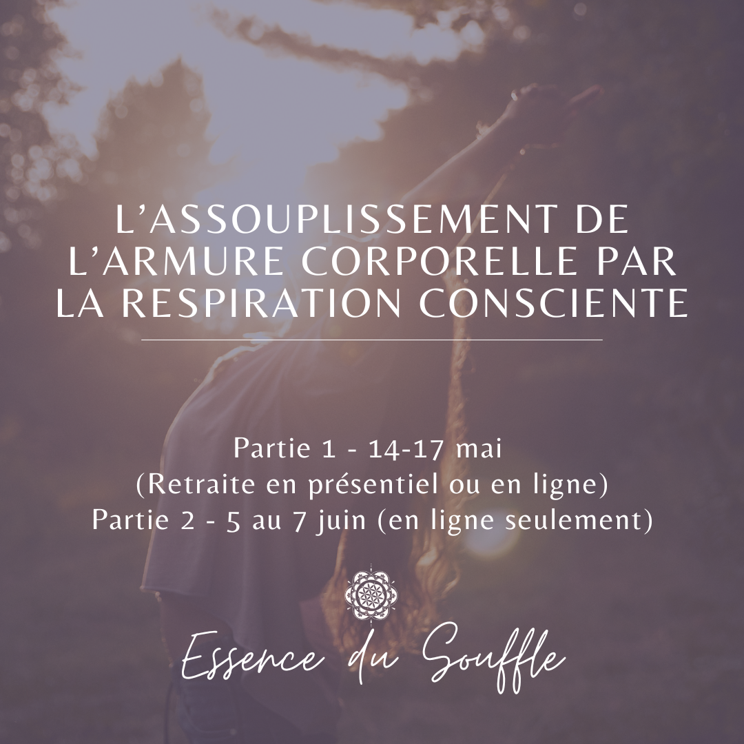 Formation/Retraite sur l'assouplissement de l'armure corporelle - Partie 1