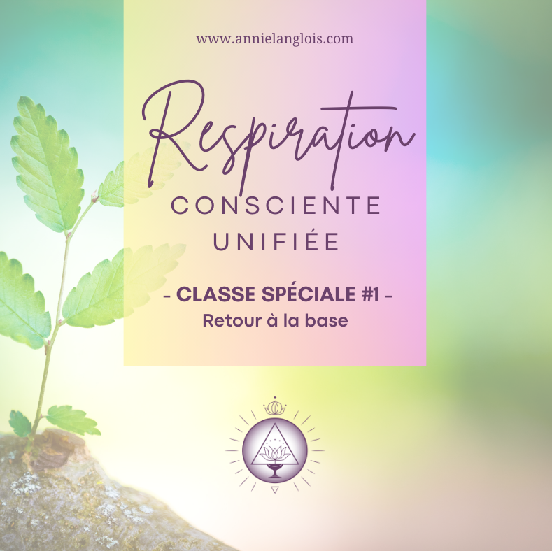 Série de classes spéciales #1 – Retour à la base