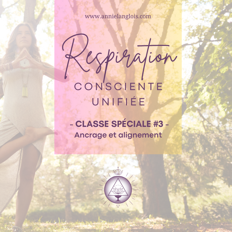 Classe spéciale unifiée #3 - Ancrage et alignement